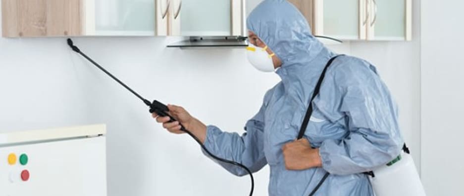 Dedetizadora na Vila Roman