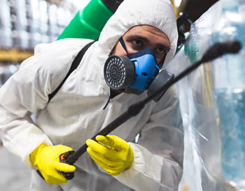 Dedetizadora na Vila Roman